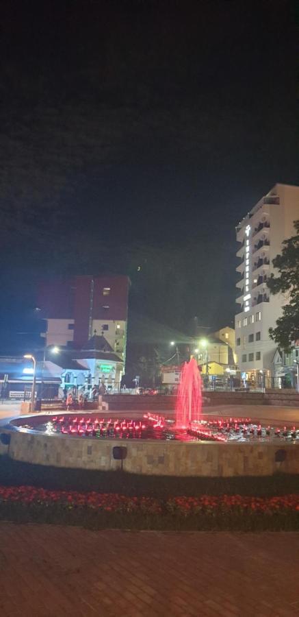 Rosa Villa Baile Olanesti Ngoại thất bức ảnh